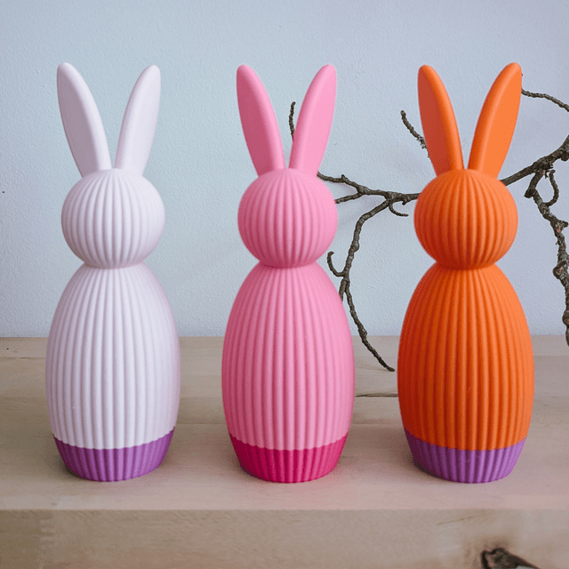 Hase L